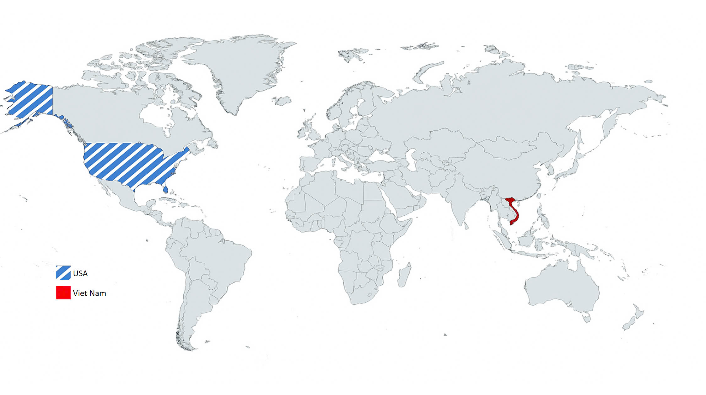 Our Distributors